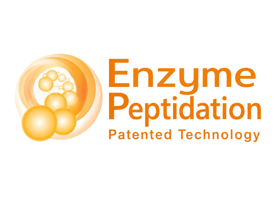 Enzyme Peptidation