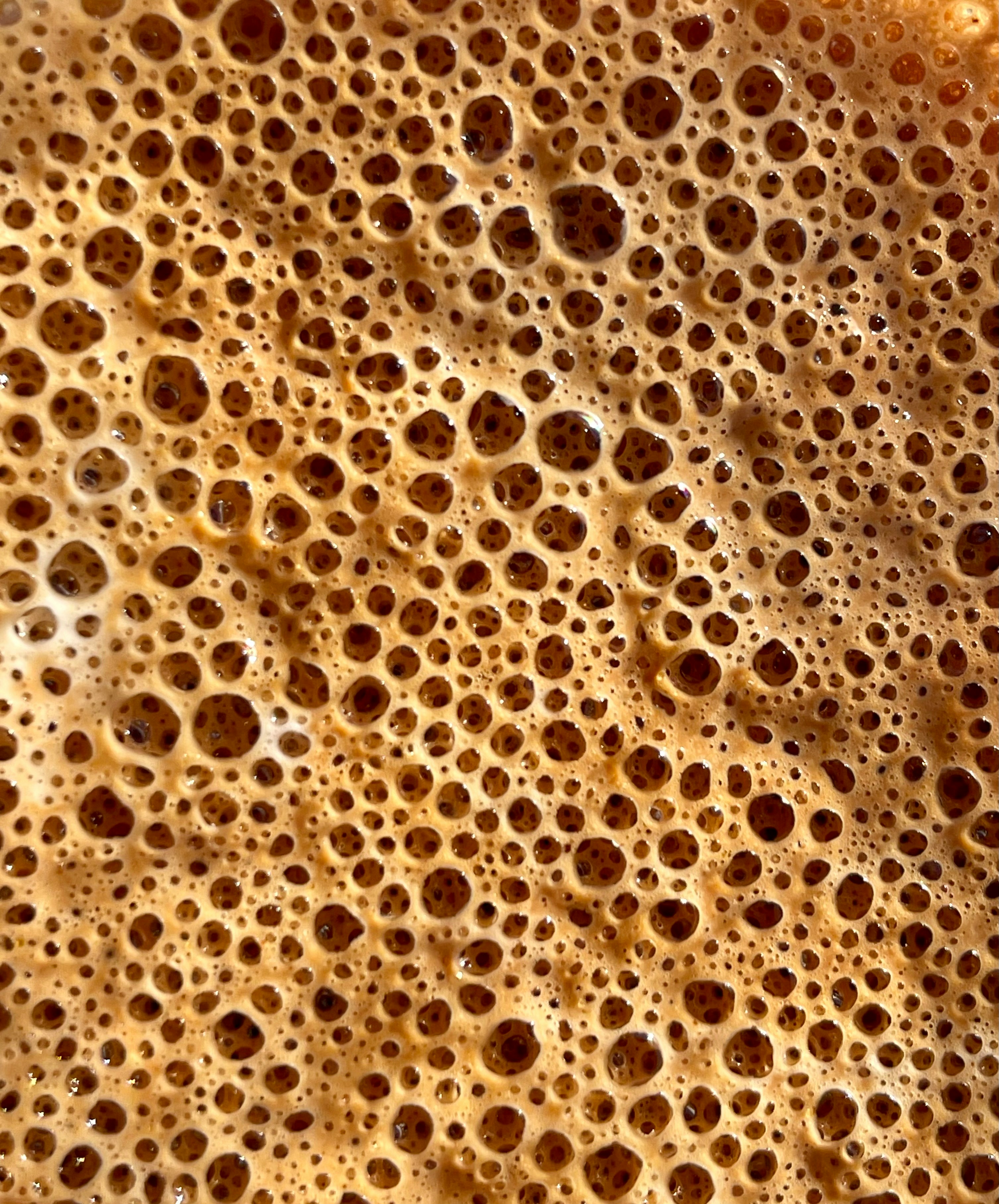 Semi-solid fermentation process