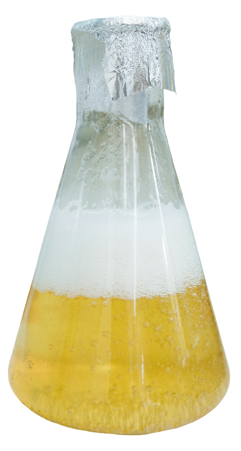 Ordinary liquid fermentation flask