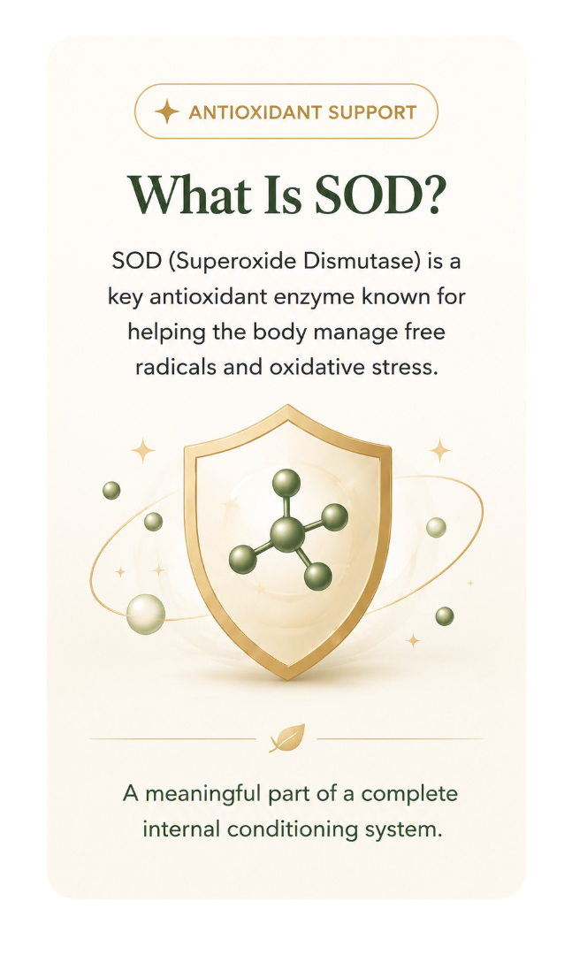 What is SOD antioxidant support